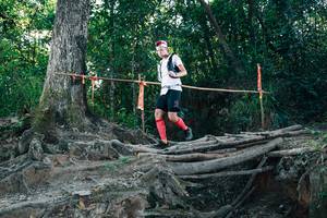 BIB: 
                            <button type="button" onclick="openModal(27755597)" class="btn btn-primary btn-sm float-right btn-popup" data-toggle="modal" data-target=".modal-high-quality">
                        <i class="fas fa-shopping-cart"></i> Add to Cart
                    </button>
                                            <button type="button" onclick="isThisMe(27755597, true)" class="btn btn-success btn-sm float-right btn-popup btn-isme hidden" data-toggle="tooltip" data-placement="bottom" title="นี่คือรูปของคุณใช่ไหม คลิกที่นี่เพื่อเอาเข้าอัลบั้ม">
                        <i class="fas fa-plus"></i> Add to album
                    </button>
                    <button type="button" onclick="isThisMe(27755597, false)" class="btn btn-warning btn-sm float-right btn-popup btn-isnotme hidden">
                        <i class="fas fa-ban"></i> Remove from album
                    </button>